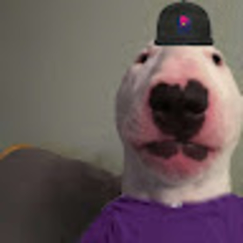 Meet your Posher, Brayden